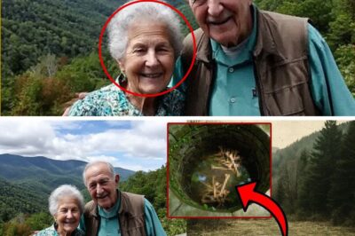 The Appalachian Trail Murders: The Chilling Discovery That Cracked a Decade-Old Cold Case and the Unsettling Lack of Justice That Followed