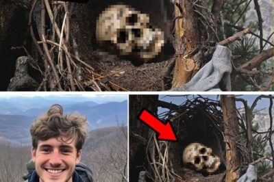 The Skull in the Crow’s Nest: How a Bizarre Discovery Solved an Appalachian Cold Case