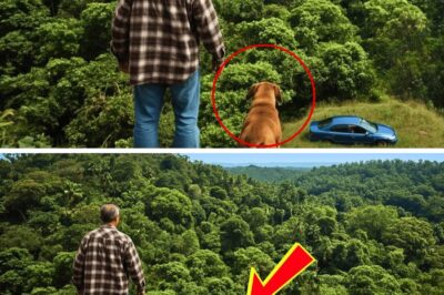A Farmer, His Dog, and the Unbelievable Secret Found in an Abandoned Car