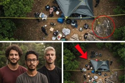 The Phantom Pursuit: An Abandoned Note and a 14-Year Mystery in Brazil’s Wilderness