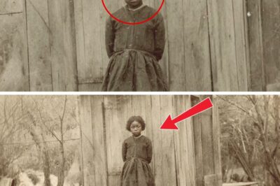 The Ice Witch of Natchez: The Chilling Legend of Eliza Monroe’s Escape and the Bellamy Family’s Frozen Fate