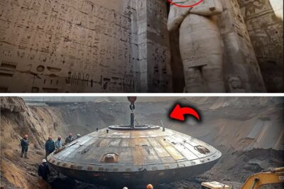 The Lost Mysteries of History: Discoveries That Rewrite the Past.