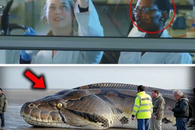 The Loch Ness Monster: Unmasking the Deception, The Science, and The Psychological Truth Behind an Immortal Legend