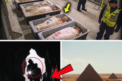 The Pyramid’s Ultimate Secret: A Leaked Photo Reveals Giza Is Not a Tomb, But Something Far More Profound