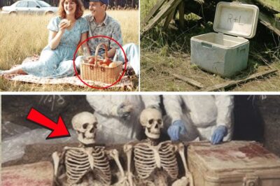 The Mystery of the Vanished Picnic: A Chilling Discovery Reopens the Case of Rachel and Luke After 19 Years
