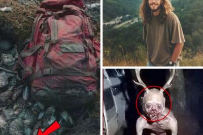 The Appalachian Anomaly: What Really Happened to Jeremy Wells on Turtle Ridge?