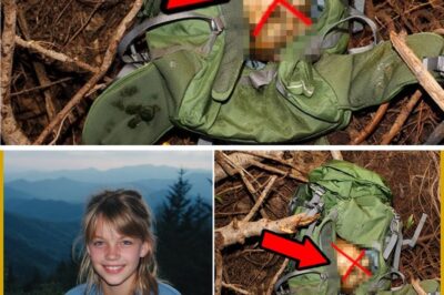 15 Minutes in Paradise: The Disappearance and Murder of Ailen Greenway in the Great Smoky Mountains