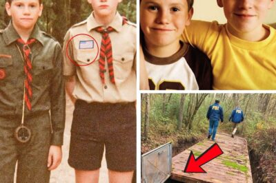 The Storm Story Was Just a Cover: The Kinsley Case Reveals a Shocking Crime.