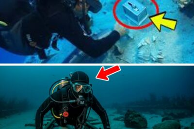 The Untold Story of the Atlantic: A Diver Followed Rusted Rails to Something That Was Never Supposed to Be Found