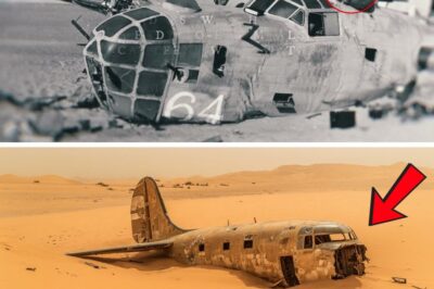 A Desert Tomb: The Disturbing True Story of the Lady Be Good and Its Lost Crew.