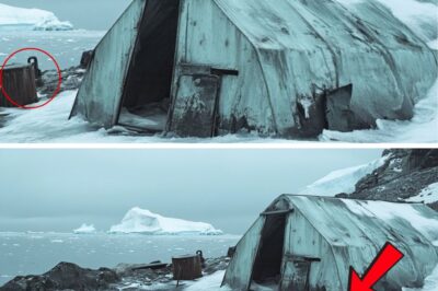 A Secret Buried in Ice: The Haunting Truth of the Greely Arctic Expedition.