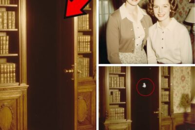 The Prison in the Wall: How a Mother Uncovered the Truth Behind Her Daughter’s Disappearance and a Repugnant Criminal Network