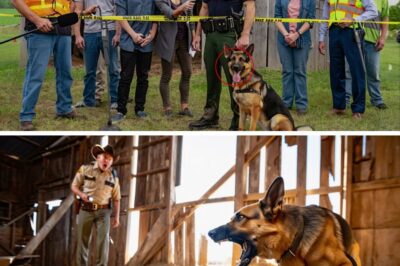 A Saint’s Dark Secret: How a Tennessee Town’s ‘Mother Teresa’ Was Unmasked by a Sheriff and His Heroic Dog