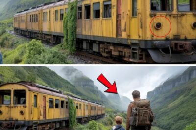 A Desperate Father and Son Discover a Lost Fortune in the Montana Mountains — and a Secret That Could Cost Them Everything