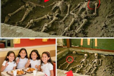 A Mother’s Intuition and a Floral Dress: Unlocking a 29-Year-Old Mystery of Missing Twins