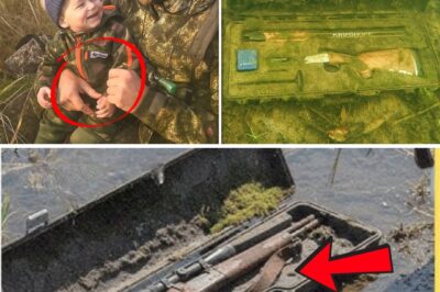 The Swamp Gave Up Its Secrets: How a Diver’s Discovery Cracked a Two-Year-Old Murder and Disappearance Cold Case