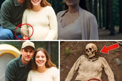 The Yellowstone Disappearance: A Hiker’s Discovery Exposes a Chilling Baby Trafficking Ring and a Decade of Lies