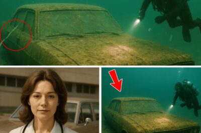 The Stockholm Enigma: 21 years later, Dr. Emily Brock’s car reveals a devastating secret.