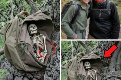 The Whispering Mountain: A Modern Mystery of a Father and Daughter’s Vanishing at Mount Rainier