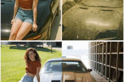 Girl Vanished on a Sunday Drive—12 Years Later, Her Car Was Found Hidden Inside a Locked Barn (tt)