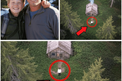 Father and Son Vanished in Sierra Nevada—18 Years Later, a Drone Captured Something That Gave Everyone Chills (tt)