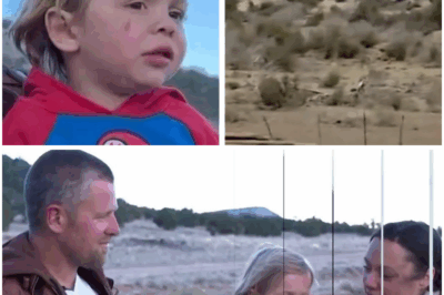 Toddler Vanished in the Wild, But Who Saved Him Left Everyone Stunned (tt)