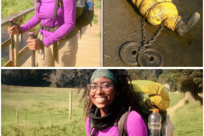 The Mystery of the Solo Female Hiker Who Vanished in 2012 and the Chilling Discovery of Her Sleeping Bag Six Years Later (tt)