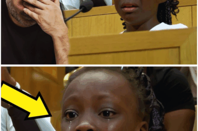 He Was Her Foster Dad for Years and What She Finally Told the Judge During the Adoption Hearing Stunned the Entire Courtroom (tt)
