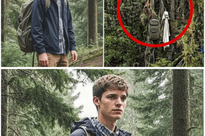 Man Vanished Near Mount Rainier Without a Trace — Eighteen Months Later Hikers Made a Haunting Discovery in the Trees (tt)