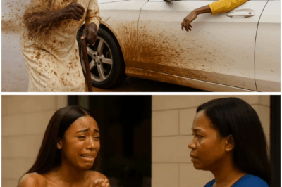 Billionaire’s Daughter Mocked a Poor Elderly Woman by Splashing Dirty Water — What Happened the Next Day Left Everyone Speechless (tt)