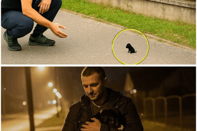 Man Found a Lost Puppy and Took It Home — The Very Next Day, Something Happened That Left Him Speechless (tt)