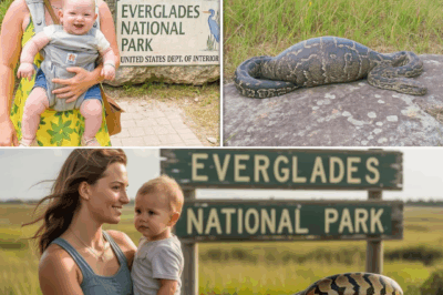Single Mom Vanishes in Everglades—One Year Later, a Python Reveals a Chilling Truth