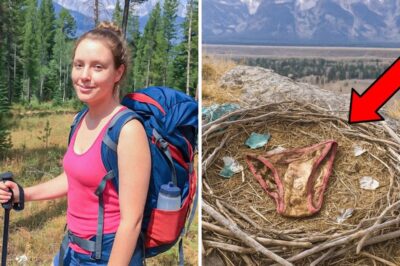 A Golden Eagle’s Nest Reveals the Horrific Truth of a Hiker’s Disappearance in the Grand Teton