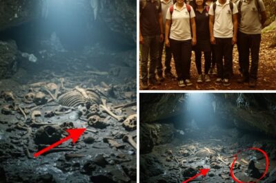 The Secret in the Bowels of the Earth: The Truth Behind the Disappearance of 11 Students in the Cacahuamilpa Caves