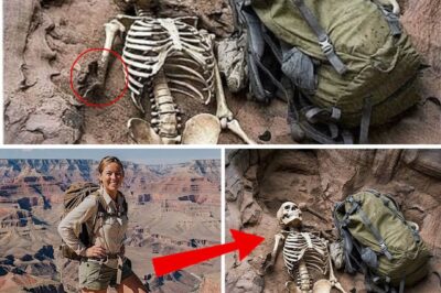 The Vanishing Women of Raven’s Hollow: A Decade-Long Grand Canyon Mystery Reaches a Chilling New Chapter