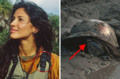 The Hidden Truth of the Swamp: The Kimberly Nash Case and the Murder that Exposed Corporate Greed