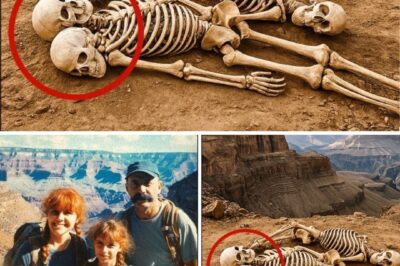 A Family’s Deadly Secret Unchained: How A Grand Canyon Vacation Became A Chilling Betrayal