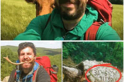 Survivalist Vanishes in the Ozarks—Three Years Later, A Turtle Surfaces With Coordinates Etched Into Its Shell (tt)