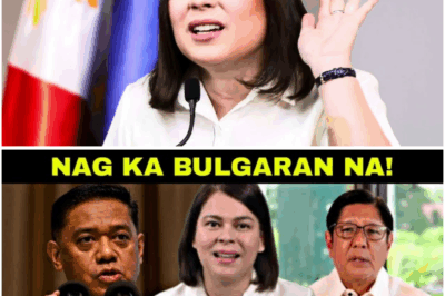 Umiinit ang Tsismis: Umano’y Pagbayad ni VP Sara sa AFP para Mag-Withdraw ng Suporta kay PBBM, Binulabog ang Publiko